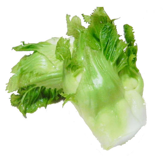 儿菜 3斤 商品图0