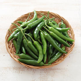 爱奥家 青阳辣椒100g