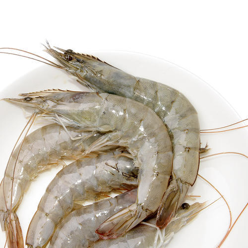 冻明虾/斤