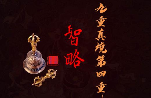 智略简介 商品图0