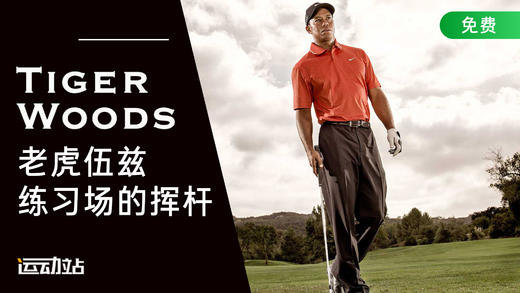 老虎伍兹练习场的挥杆 商品图0