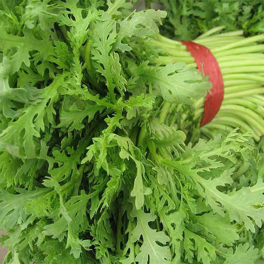 小叶茼蒿 500克 商品图2