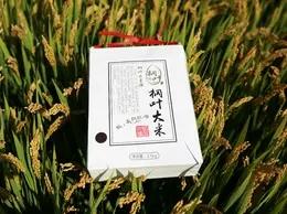 2998款-尊享桐叶年卡大礼包，米、果、杂粮、蛋，一键到家 商品图1