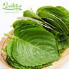 心家蔬菜 苏子叶20p  商品缩略图0