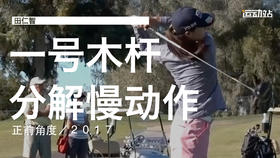 田仁智｜2017一号木挥杆分解慢动作／正前角度