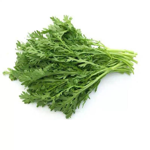 小叶茼蒿 500克 商品图1