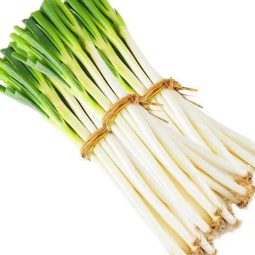 新鲜大葱500g 商品图0