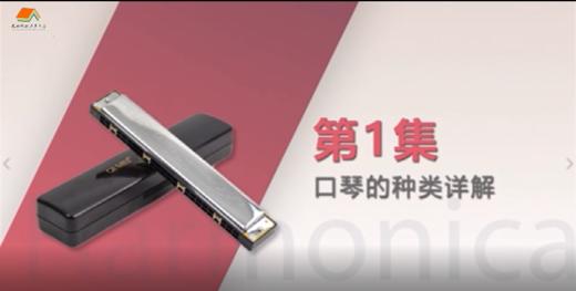 零基础学口琴（一） 商品图0