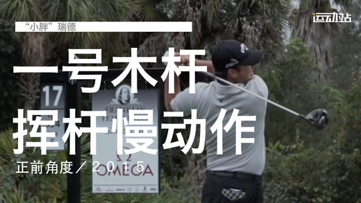 ＂小胖＂瑞德｜一号木挥杆慢动作／正前角度／２０１５ 商品图0