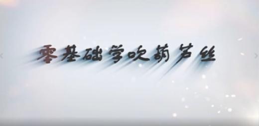 零基础学葫芦丝（一） 商品图0