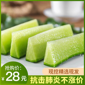 沙窝萝卜 潍坊现拔现发 新鲜绿色蔬菜脆甜青萝卜 正宗水果萝卜5斤装