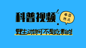 5个野生动物拯救人类的故事