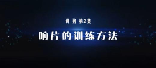 何军狗狗训练 响片的训练方法 商品图0