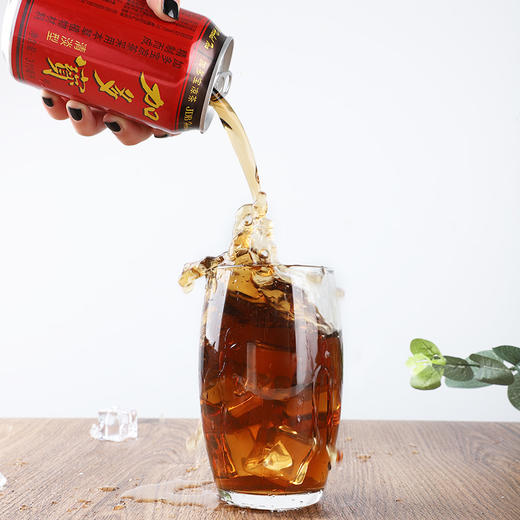 听装加多宝310ml 商品图2