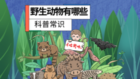 野生动物有哪些