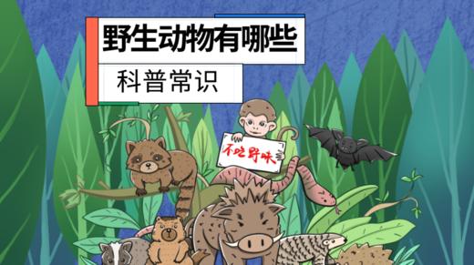 野生动物有哪些 商品图0