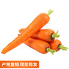 现挖生态黄胡萝卜新鲜农家自种沙地生吃脆甜 蔬菜水果红胡萝卜 商品缩略图0