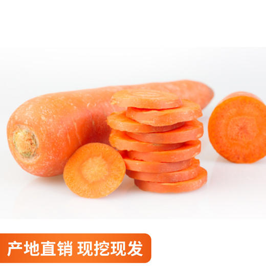 现挖生态黄胡萝卜新鲜农家自种沙地生吃脆甜 蔬菜水果红胡萝卜 商品图1