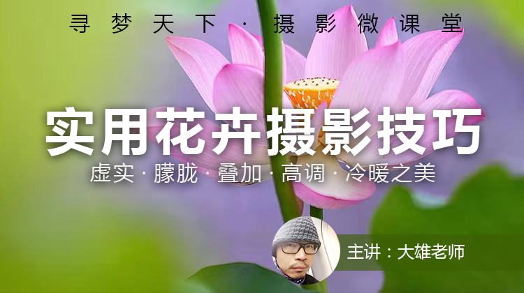 【微课堂4图文版】实用花卉摄影技巧