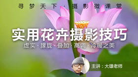 【微课堂4图文版】实用花卉摄影技巧
