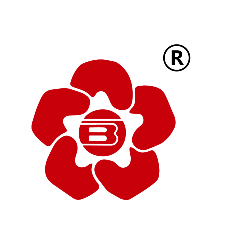 金元宝大酒店240513