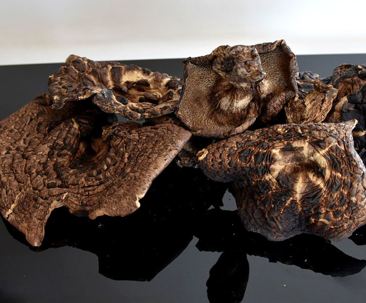 【共抗疫情 折扣包邮】干黑虎掌菌100g/袋