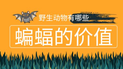 关于蝙蝠你不得不知的常识 商品图0