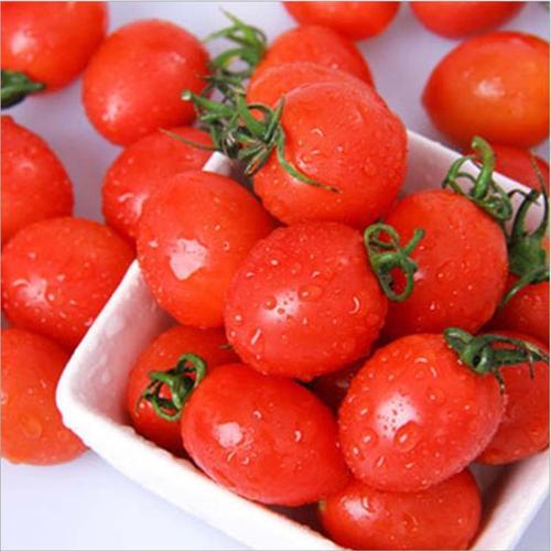 （弃）有机樱桃番茄 Organic Cherry Tomato（ 300g/袋） 商品图0