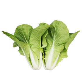 小白菜 500g