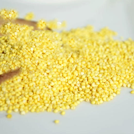 博扬有机大黄米 商品图1