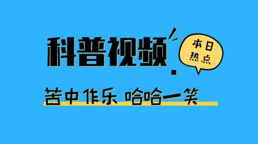 让人哈哈大笑的动物搞笑瞬间 商品图0