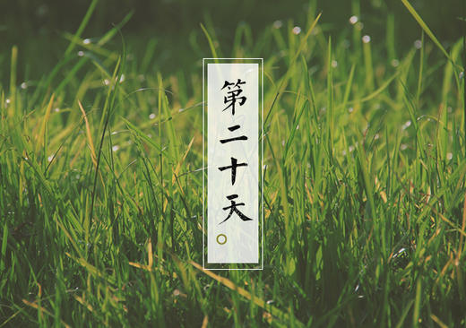 第二十天 商品图0