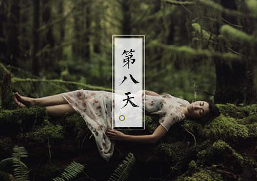 第八天 商品图0