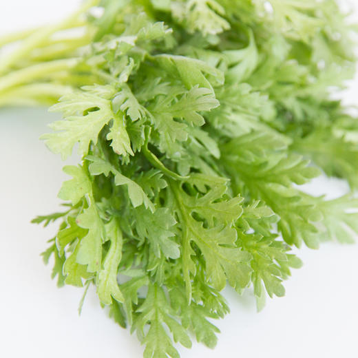物本源有机菊花菜 商品图2