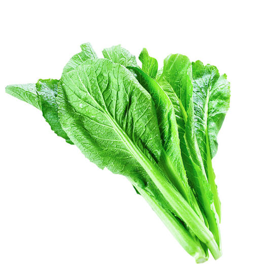 小青菜 500g 商品图0