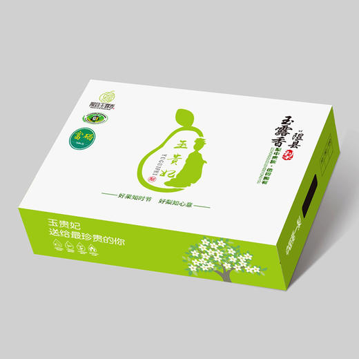 食味推荐 精品临汾玉露香梨 6枚入 5.5斤 山西隰县发货 顺丰包邮