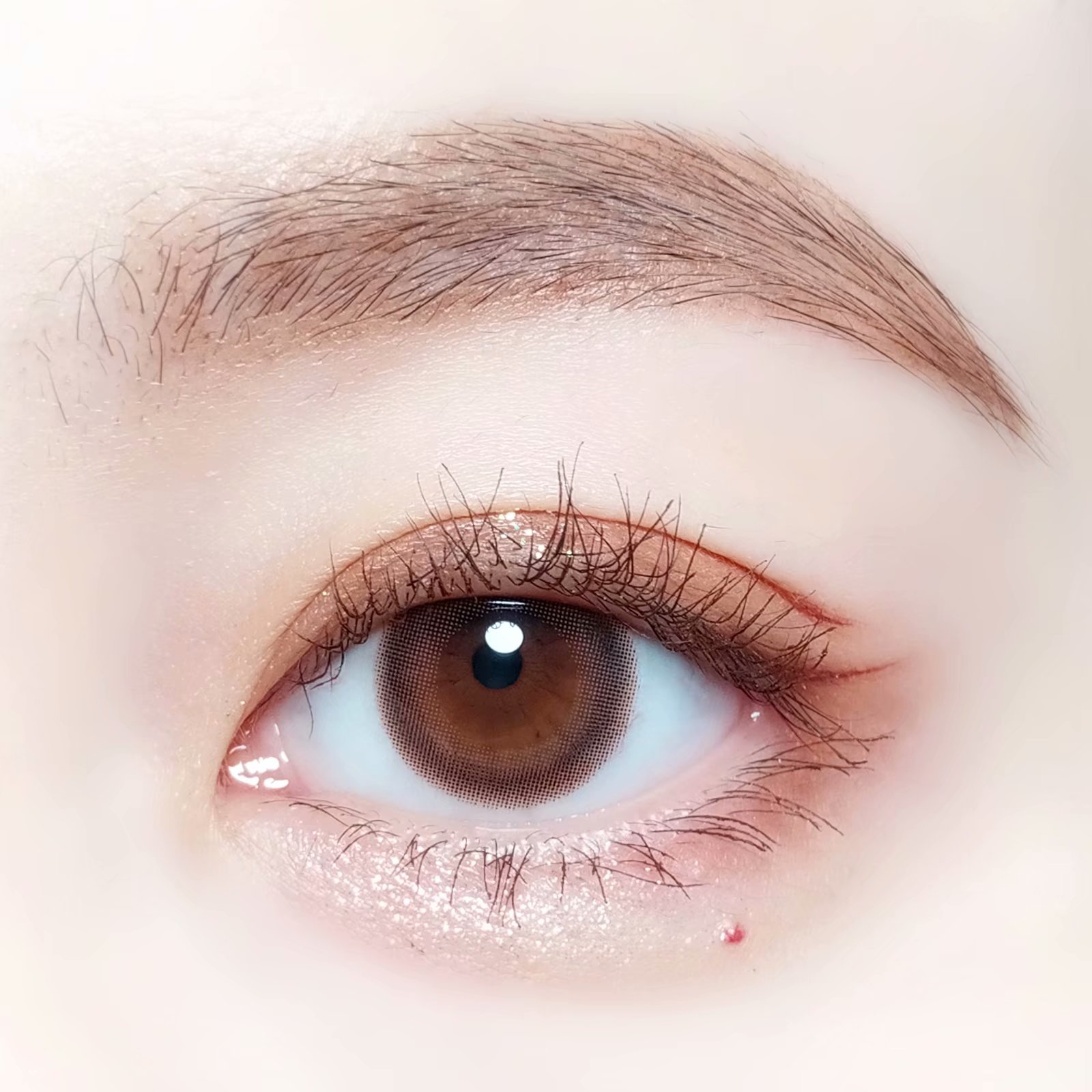 DK：Ever G Brown G314（年抛）