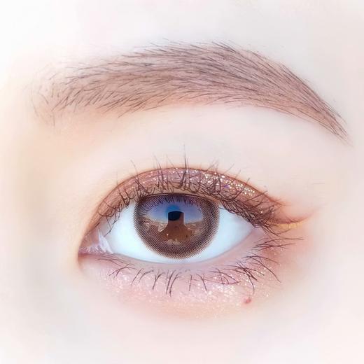 DK：Ever G Brown G314（年抛） 商品图1