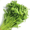 物本源有机菊花菜 商品缩略图1