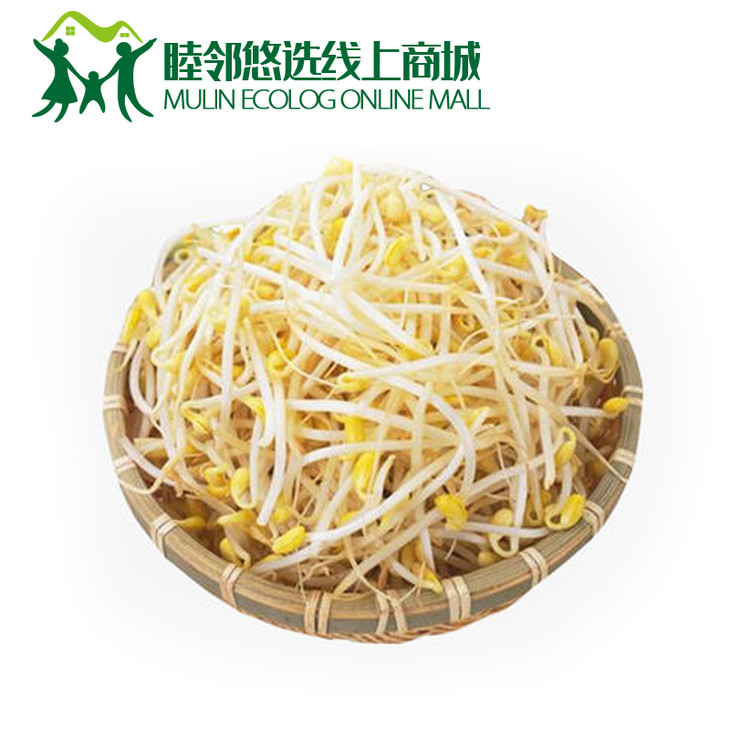 短黄豆芽1斤