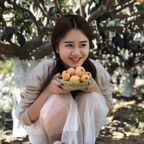 神奇的攀枝花米易，冬天里竟也能吃到枇杷