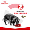 皇家幼犬粮A3/成犬粮CC3.5kg/8kg 商品缩略图7