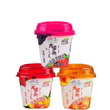 伊利大果粒风味发酵乳(多种口味）260g 商品图0