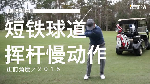 加里-伍德兰德｜短铁球道挥杆慢动作／正前角度／２０１５ 商品图0