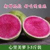新鲜心里美萝卜满堂红萝卜绿皮红心胭脂山东潍坊水果青萝卜胡萝卜 心里美萝卜5斤 商品缩略图1