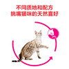 皇家口感型猫粮肠道舒适挑嘴成猫猫粮EP42/ES35 商品缩略图6