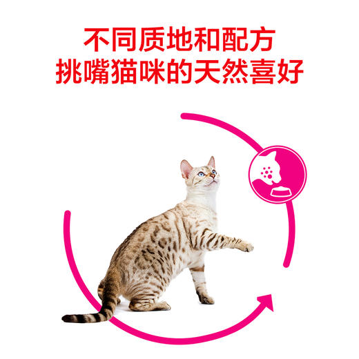 皇家口感型猫粮肠道舒适挑嘴成猫猫粮EP42/ES35 商品图6