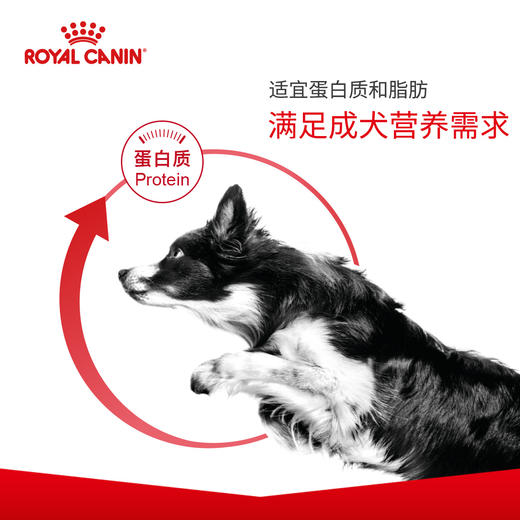 皇家幼犬粮A3/成犬粮CC3.5kg/8kg 商品图4