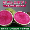新鲜心里美萝卜满堂红萝卜绿皮红心胭脂山东潍坊水果青萝卜胡萝卜 心里美萝卜5斤 商品缩略图3