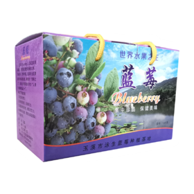 玉溪蓝莓礼盒125g*6小盒